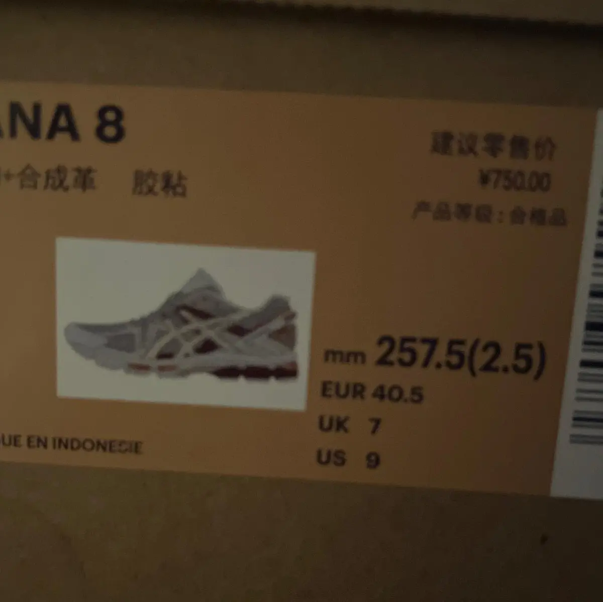 ASICS Kahana 8 — 40.5 / UK 7